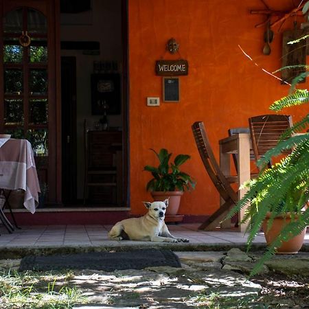 B&B La Noria San Sperate Dış mekan fotoğraf